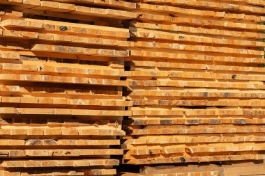 Parlak altın kereste tahtaları, öğleden sonra saatlerinde berrak mavi gökyüzünün altında, kırsal bir kereste deposunda düzgünce istiflenir..