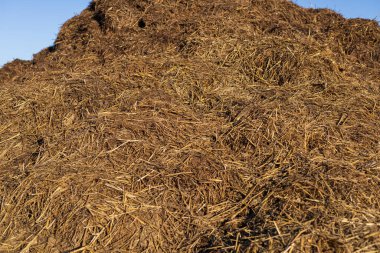 Açık mavi gökyüzünün altında bulunan koyu kahverengi organik madde yığını kırsal bölgelerdeki tarım faaliyetlerinin yoğun çalışmalarını yansıtıyor..