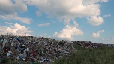Çöp sahasında birikmiş büyük çöp yığınları çöpün büyüklüğünü ve çevredeki ekoloji ve kirlilik üzerindeki etkilerini gözler önüne seriyor..