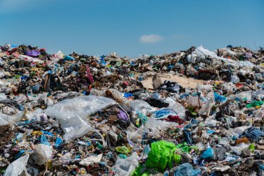 Plastik torbalar ve diğer döküntüler de dahil olmak üzere çeşitli çöp yığınlarıyla dolu bir çöplük, kentsel alanlardaki acil temizlik krizini vurguluyor.