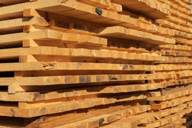 Yeni kesilmiş kereste yığınları düzenli sıralarda dinleniyor, kırsal bir ahşap değirmeninde güneş ışığını yakalıyor, ahşap dokuları ve tahılları sergiliyor..