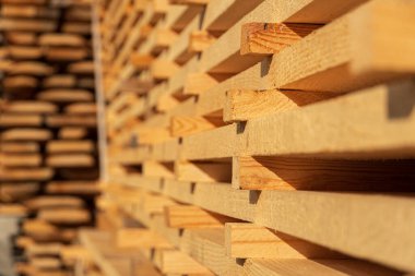 Yeni kesilmiş odun sıraları, kereste deposunda güneş ışığı altında kurutulmak üzere düzgünce istiflenir ve kerestenin doğal dokusunu gösterir..