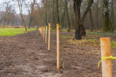 İşçiler, serin ve bulutlu bir günde yeni ağaçlara hazırlanmak için parktaki tahta kazıklarla bir ekme alanını işaretlediler..