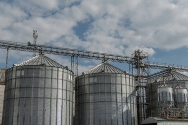 Büyük silolar bulutlu bir zemine karşı yükseliyor, tarım alanında hasat için gerekli tahıl depolama tesislerini sergiliyorlar..