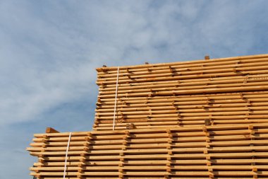 Kereste kalasları, kereste atölyesinde güneş ışığı altında düzgünce istiflenip kurutuluyor ve ahşabın doğal dokusunu sergiliyorlar..