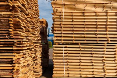 Güneş ışığı, kereste atölyesinde düzgünce istiflenmiş ahşap kalasların dokusunu ön plana çıkarıyor. Yeni işlenmiş kereste kullanılmaya hazır..