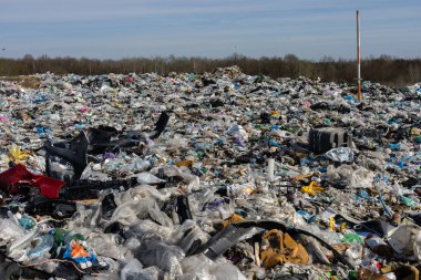 Çöp yığınları ve plastik atıklar çöplüğü kaplayarak, kirliliğin yerel ekosistem ve temizlik yönetimi üzerindeki etkisini gösteriyor.