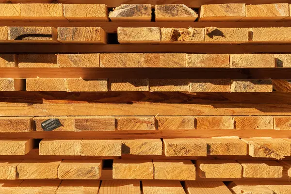 Farklı doku ve renklere sahip ahşap tahtalar parlak gün ışığı altında bir atölyede düzgünce düzenlenir..