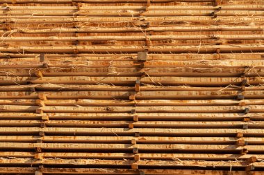 İnşaat işçileri gün ışığında bir inşaat sahasında destek için ahşap yapı iskelesi kullanıyorlar, takım çalışması ve güvenlik önlemleri gösteriliyor.