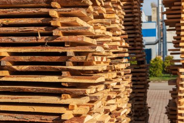 Temiz bir gökyüzüne karşı gün ışığıyla aydınlatılan kereste deposunda düzgünce dizilmiş tahta yığınları görülür..