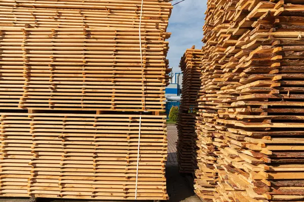 Temiz mavi bir gökyüzünün altındaki kereste deposunda düzgünce düzenlenmiş büyük, taze kesilmiş kereste yığınları..