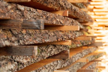 Ahşap kütükler düzgün bir şekilde ağaç kabuklarıyla istiflenir ve kenarları görünür hale getirilir. Kereste deposunda bulunur, sıcak güneş ışığıyla yıkanır..