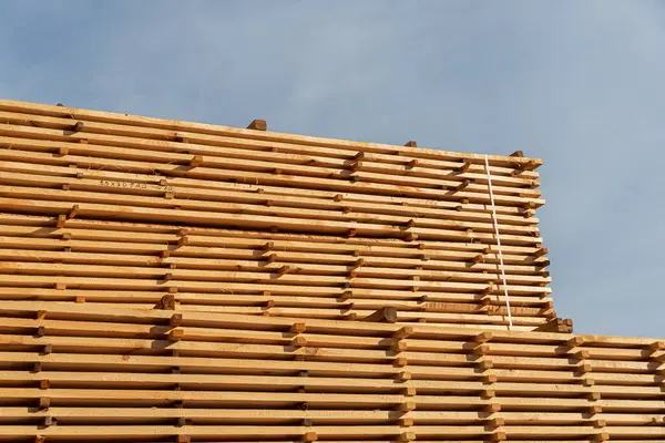 Tahta levhalar temiz mavi gökyüzüne karşı düzgünce istiflenmiştir. Yapı ortamında doğal dokularını ve renklerini sergilerler..