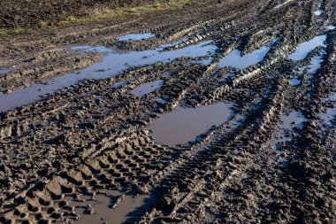 Lastik izleri çamurlu bir yolda ilerliyor. Su birikintileriyle işaretlenmiş. Kırsal bir bölgede son zamanlarda görülen yağmurun yansıması..