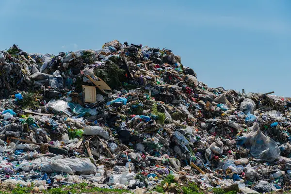 Plastik ve diğer atık yığınları da dahil olmak üzere çöp yığınları, çöp sahasını karıştırıyor, kirlilik sorunları ve atık yönetimi sorunlarını vurguluyor.