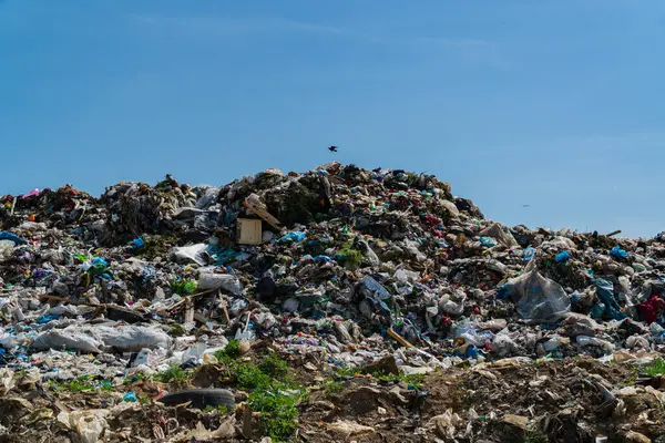 Bölgedeki önemli kirlilik ve çevre kaygılarını gösteren çeşitli atık formlarıyla dolu büyük bir atık alanı yığılıyor..