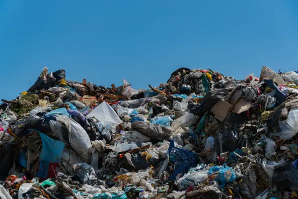 Açık mavi gökyüzünün altındaki bir çöp sahasında birikmiş plastik ve moloz yığınları, atık yönetimi ve kirlilikteki acil sorunları vurguluyor.