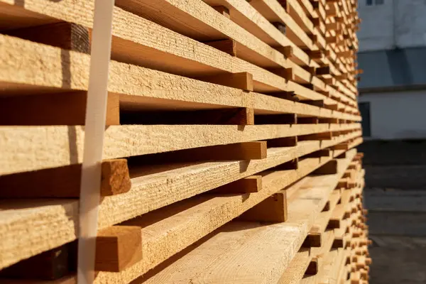 Güneş ışığı düzgünce düzenlenmiş ahşap levhaları açık bir günde dokularını ve kalitelerini sergiliyor..