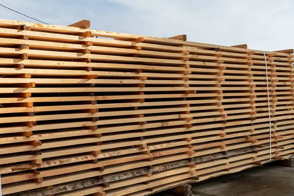 Taze kesilmiş tahta yığınları, öğleden sonra güneşle aydınlanan, temiz bir gökyüzüne karşı, kereste deposunda düzgünce düzenlenir..