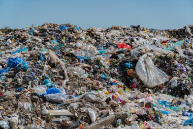 Plastik ve molozlardan oluşan dağlar çöplüğü kirleterek artan kirlilik sorununu ve çevresel eylem ihtiyacını gözler önüne seriyor..