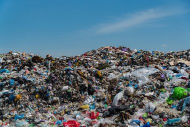 Plastik de dahil olmak üzere dev bir atık alanı, kirlilik ve ekolojik yönetimle devam eden mücadelenin altını çiziyor.