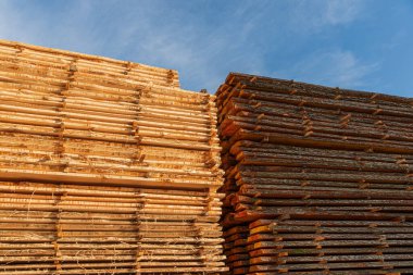 Düzgünce istiflenmiş tahta yığınları güneşli bir gün ortasında kereste deposundaki işçiliğin altını çiziyor..