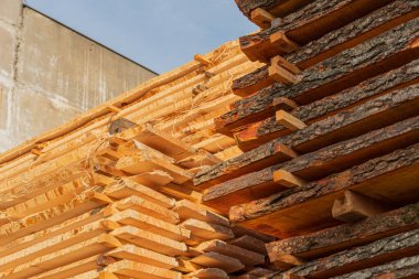 Taze kesilmiş kereste bir inşaat sahasında güzelce istiflenir, öğleden sonra erken saatlerde kurutulmak üzere güneş ışığını emer..