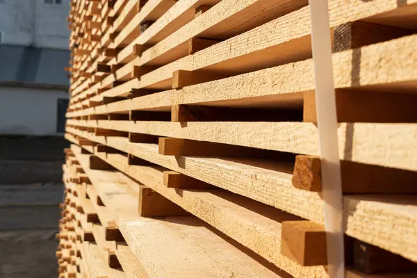 Dayanıklı ahşap kalaslar kereste deposunda düzgünce istiflenir, öğleden sonra güneşinin sıcak ışınlarını yakalar, çeşitli projelerde kullanılmaya hazırdır..