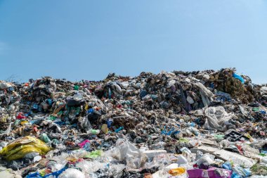 Bölgeye büyük bir çöp yığını hükmediyor. Gün ortası güneşinin altında hiçbir ağaç örtüsü olmadan atılmış materyaller sergileniyor..