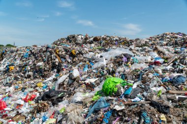 Büyük miktarda atık ve plastik atık birikintisi alanı doldurarak parlak güneş ışığı altında ezici bir manzara yaratıyor..