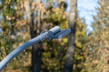 Güneş enerjili sokak lambası, açık mavi gökyüzünün altında sürdürülebilir ışık sağlayan gür bir orman ortamında dimdik duruyor..
