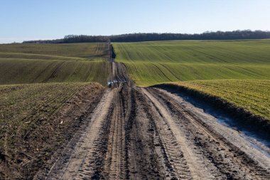 Engebeli toprak yol yemyeşil tarlalarda uzanır, ilkbaharın başlarında tarım arazisinin dingin güzelliğini gözler önüne serer..