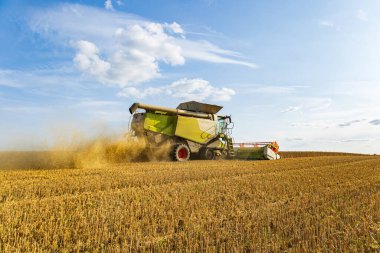 Bir biçerdöver, mavi gökyüzünün altındaki olgun mahsulleri toplar ve modern tarım tekniklerini ön plana çıkarır..