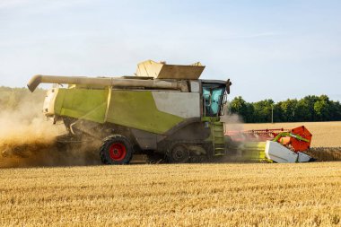 Hasat makinası verimli bir şekilde, açık bir günde yemyeşil ağaçlarla çevrili güneşli bir alanda olgunlaşmış buğday toplar..