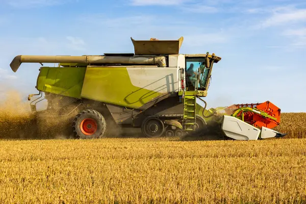Büyük hasatçı, altın buğday tarlasında verimli bir şekilde çalışır ve açık bir günde sonbahar hasadının özünü yakalar..