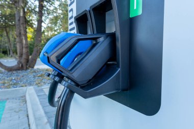 Ağaçlarla çevrili geniş bir açık alanda mavi bir konnektörün bulunduğu elektrikli araç şarj istasyonuna yakın plan..