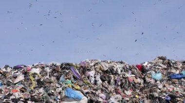 Landfills overflow with garbage, highlighting the urgent need for waste management and ecological awareness to combat pollution