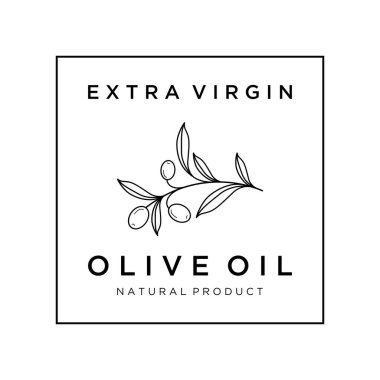 Hand drawn Botanical logo,leaf and natural olive fruit .Herbal, olive oil,cosmetic or beauty.