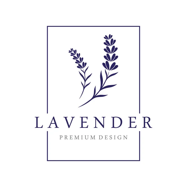 手描き有機ラベンダーの花のロゴデザイン 化粧品 美しさ ハーブのためのロゴ — ストックベクタ