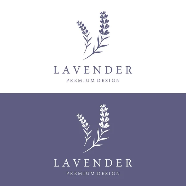 Handgezeichnetes Bio Lavendelblüten Logo Design Logo Für Kosmetik Schönheit Tee — Stockvektor