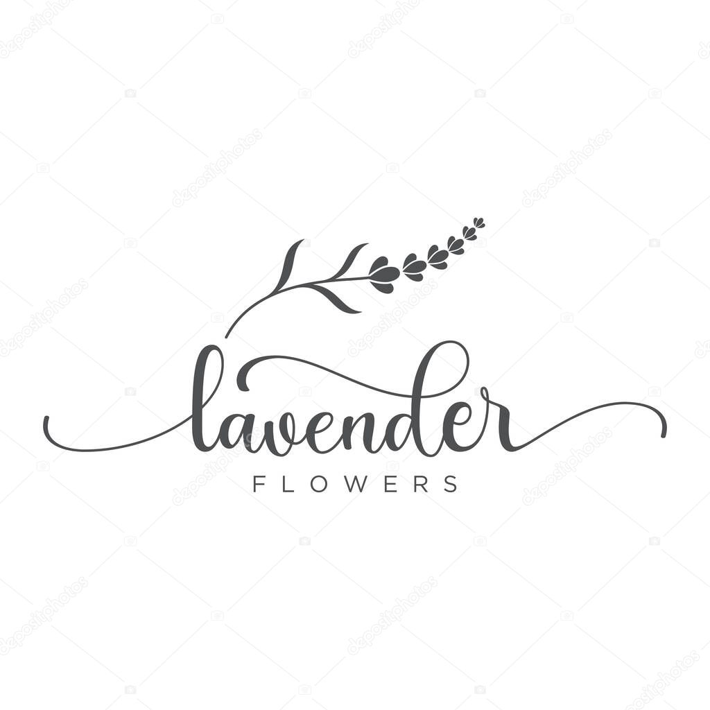 Hand drawn organic lavender flower logo design.Logo for cosmetic, beauty,tea,oil,herbal.