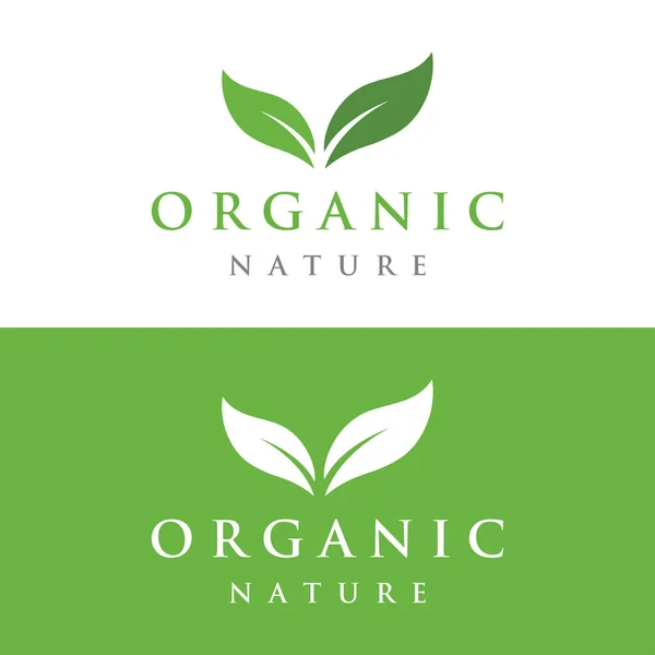 100 Ban Természetes Organikus Logó Levél Koncepcióval Logó Természetes Termékekhez — Stock Vector
