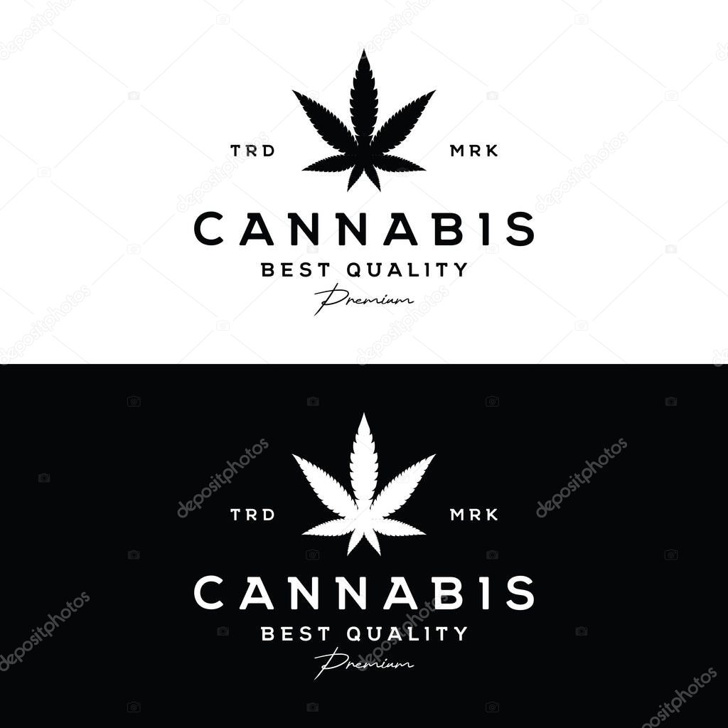 Vintage retro design of premium quality organic cannabis plant logo.