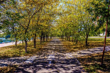 Parkta sonbahar manzarası