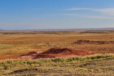 the landscape of the desert in the north of israel