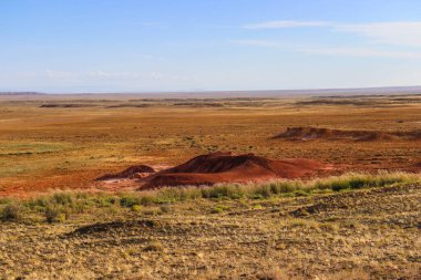 Moğolistan bozkırının manzarası. Bozkırların bozkırlarında bozkırlarda. Kazakistan.