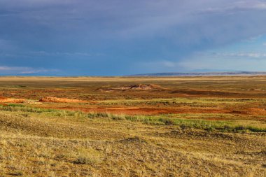 Utah Eyalet Parkı 'nın güzel manzarası
