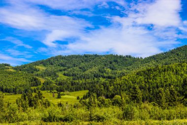 Yeşil çayırı olan güzel bir dağ manzarası.