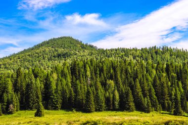Dağların güzel manzarası