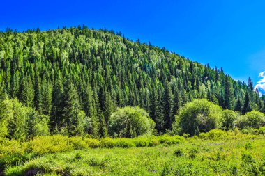 Dağların güzel manzarası